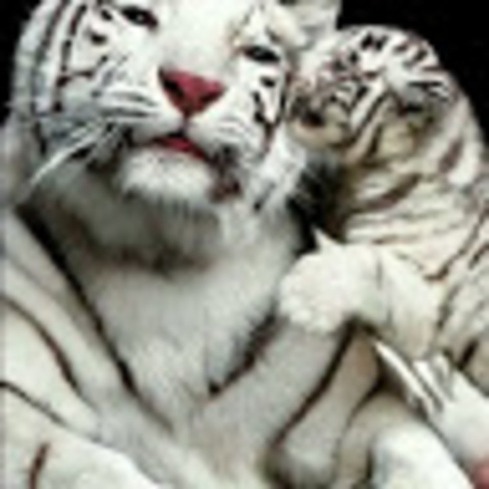 Meet your Posher, Leah